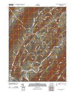 Newton Hamilton 2010 topographic map thumbnail