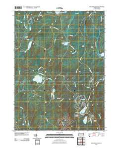 Twelvemile Pond 2010 topographic map thumbnail