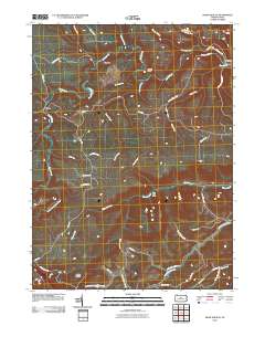 Snow Shoe SE 2010 topographic map thumbnail