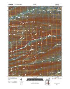 Williamsport SE 2010 topographic map thumbnail
