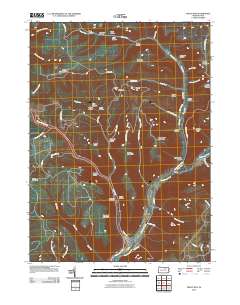 Trout Run 2010 topographic map thumbnail