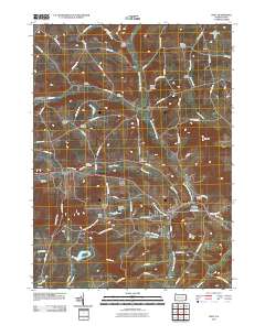 Troy 2010 topographic map thumbnail