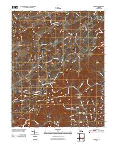 Endicott 2010 topographic map thumbnail