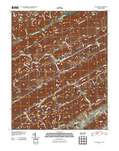 Looneys Gap 2010 topographic map thumbnail