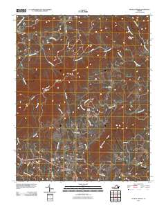 Patrick Springs 2010 topographic map thumbnail