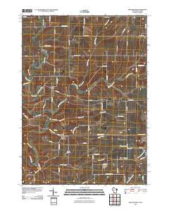 New Diggings 2010 topographic map thumbnail
