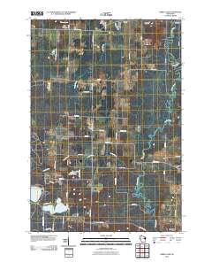 Berry Lake 2010 topographic map thumbnail