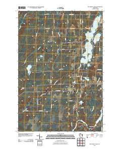 Butternut Lake 2010 topographic map thumbnail