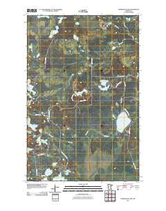 Horsehead Lake 2010 topographic map thumbnail
