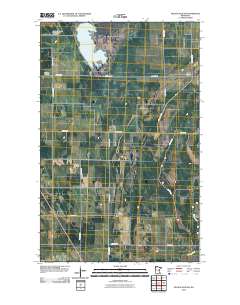 Nelson Slough 2010 topographic map thumbnail