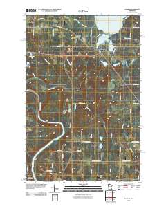 Saginaw 2010 topographic map thumbnail