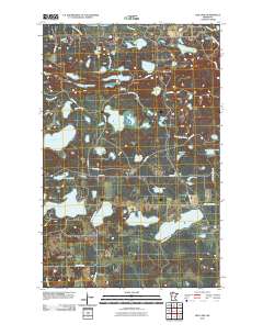 Red Lake 2010 topographic map thumbnail