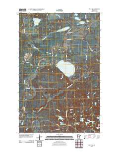 Roy Lake 2011 topographic map thumbnail