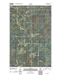 Little Swan 2010 topographic map thumbnail