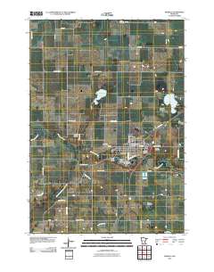 Madelia 2010 topographic map thumbnail