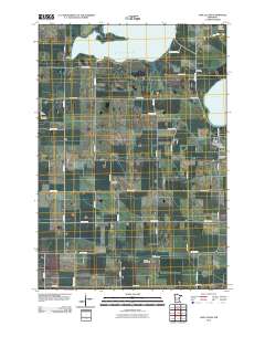 Lake Lillian 2010 topographic map thumbnail