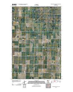 Thief River Falls NE 2010 topographic map thumbnail