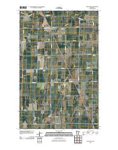 Newfolden 2010 topographic map thumbnail