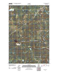 McGrath 2010 topographic map thumbnail