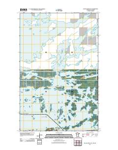 Island View OE N 2011 topographic map thumbnail
