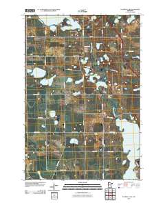 Fourmile Lake 2010 topographic map thumbnail