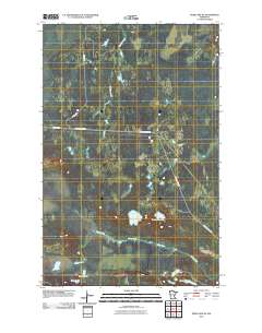 Deer Lake NE 2010 topographic map thumbnail
