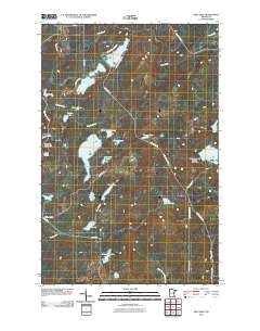King Lake 2010 topographic map thumbnail