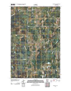 Henning SE 2010 topographic map thumbnail