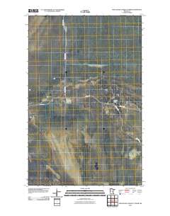 Pine Island Lookout Tower 2010 topographic map thumbnail