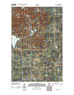 Wolf Lake 2010 topographic map thumbnail