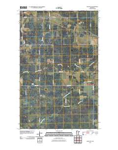 Graceton 2010 topographic map thumbnail