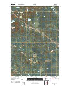 Swan River 2010 topographic map thumbnail