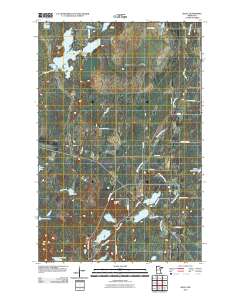 Silica 2010 topographic map thumbnail