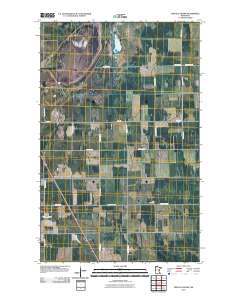 Twistal Swamp 2010 topographic map thumbnail