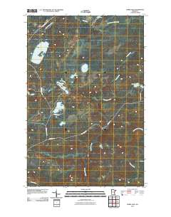 Barrs Lake 2010 topographic map thumbnail