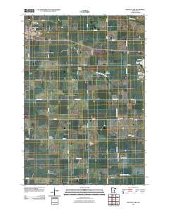 Buffalo Lake 2010 topographic map thumbnail