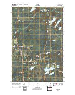 Cotton 2010 topographic map thumbnail