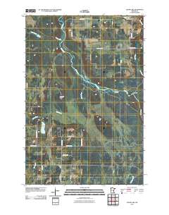 Cedar Lake 2010 topographic map thumbnail