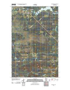 Ericsburg 2010 topographic map thumbnail