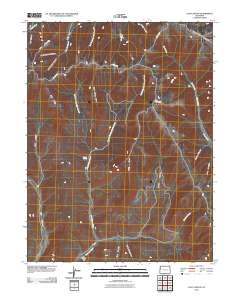 Calf Canyon 2010 topographic map thumbnail