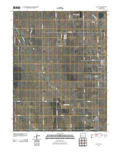 Ellicott 2010 topographic map thumbnail