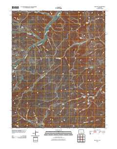 Delagua 2010 topographic map thumbnail