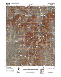 Buck Canyon 2010 topographic map thumbnail
