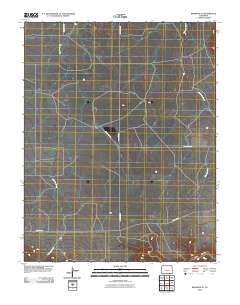 Branson SE 2010 topographic map thumbnail