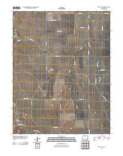 Denny Lake 2010 topographic map thumbnail
