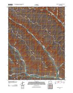 Desert Gulch 2010 topographic map thumbnail