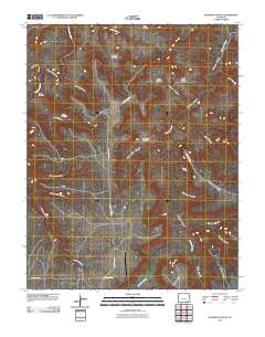 Johnson Canyon 2010 topographic map thumbnail
