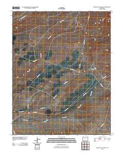 Mariano Wash West 2010 topographic map thumbnail