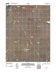 Chicos Well 2010 topographic map thumbnail