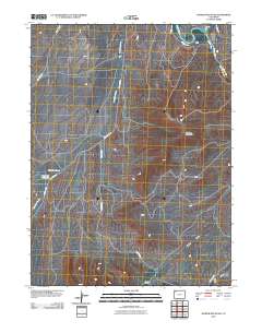 Juniper Mountain 2010 topographic map thumbnail